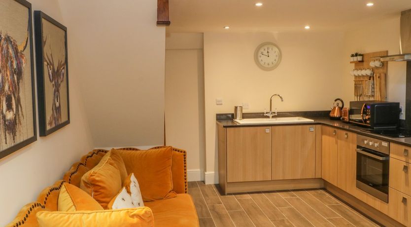 Photo of Swallows Return