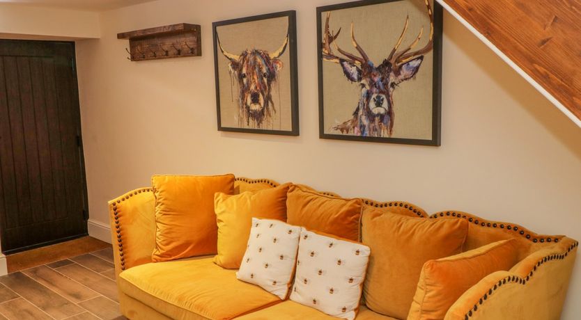 Photo of Swallows Return