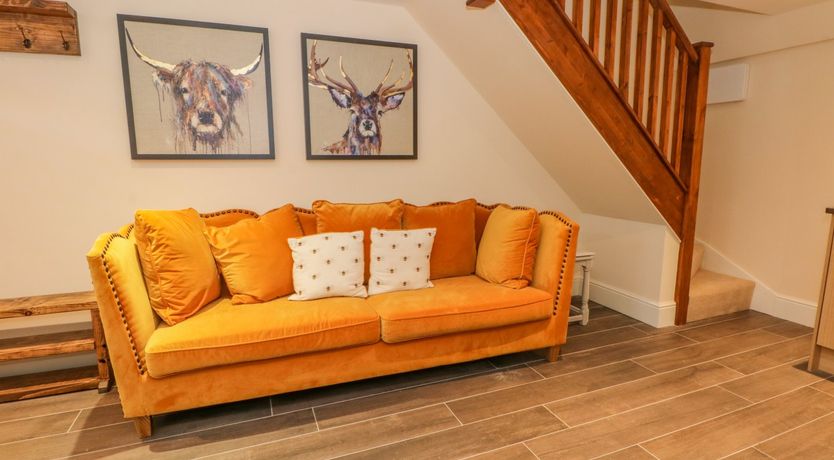 Photo of Swallows Return