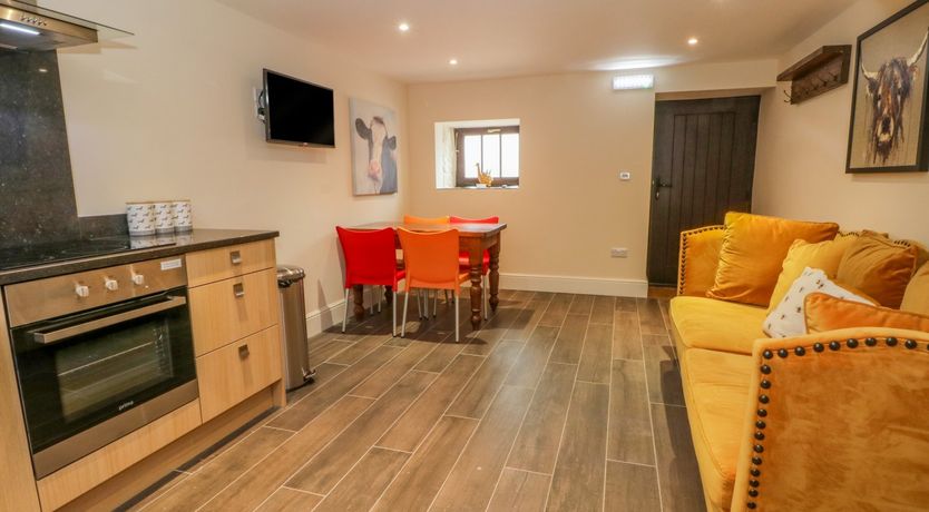 Photo of Swallows Return