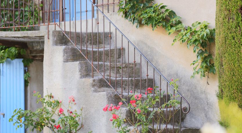 Photo of Lavender Bloom