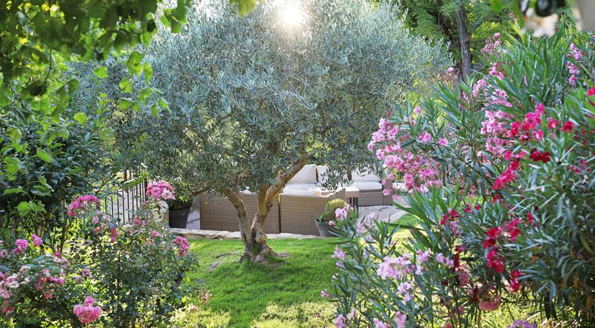 Photo of Lavender Bloom