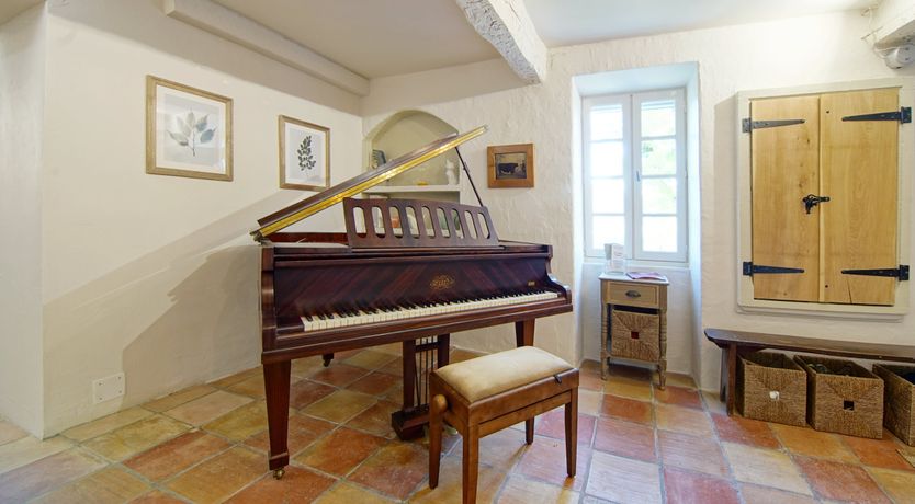 Photo of Lavender Bloom