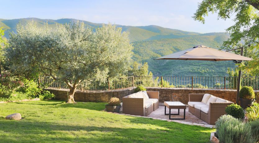 Photo of Lavender Bloom