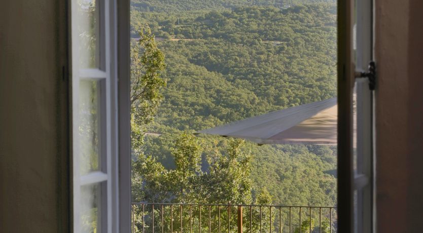 Photo of Lavender Bloom