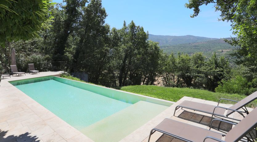 Photo of Lavender Bloom