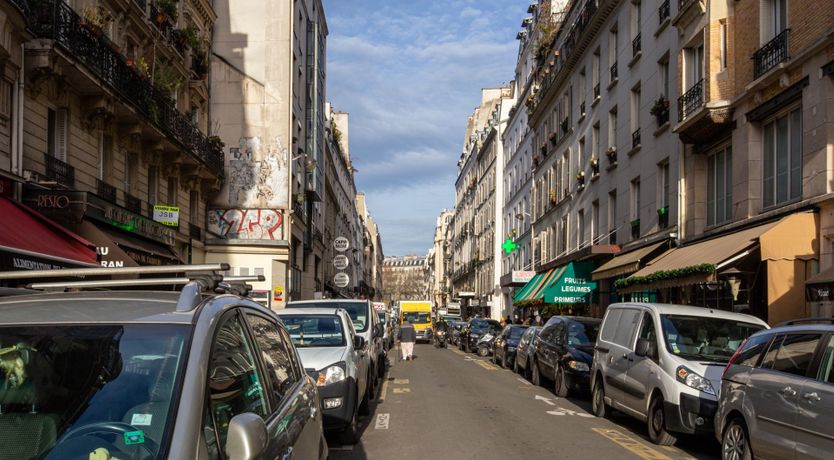 Photo of L'Orang-outang