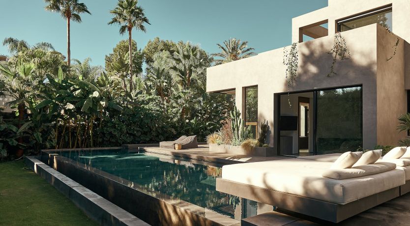 Photo of The Peace Bird