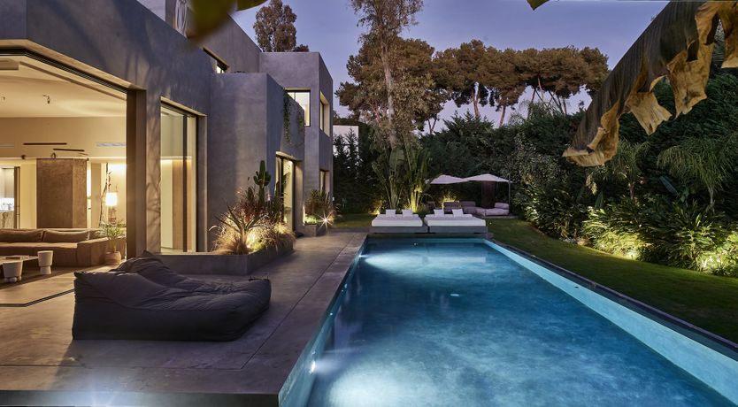 Photo of The Peace Bird