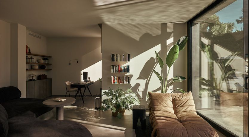 Photo of The Peace Bird