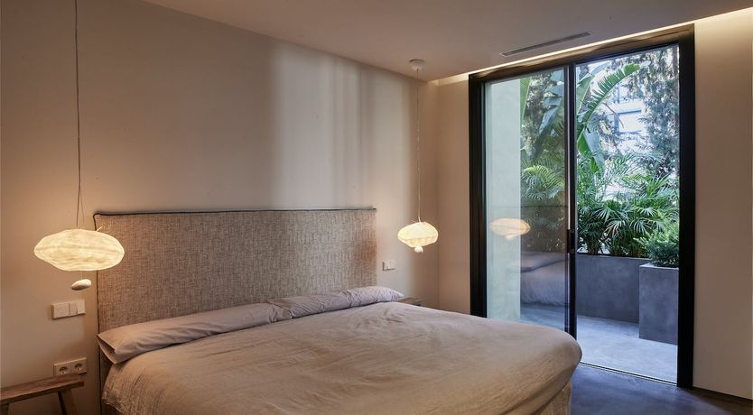 Photo of The Peace Bird