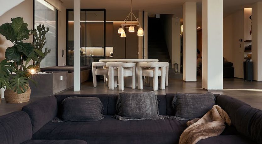 Photo of The Peace Bird