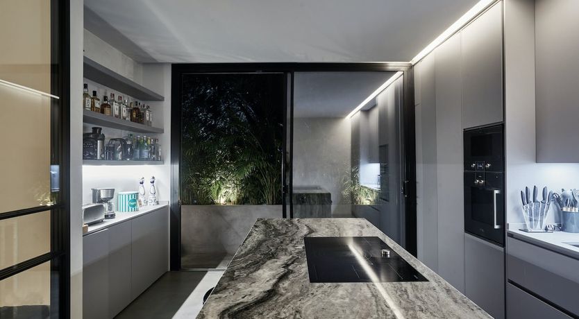 Photo of The Peace Bird