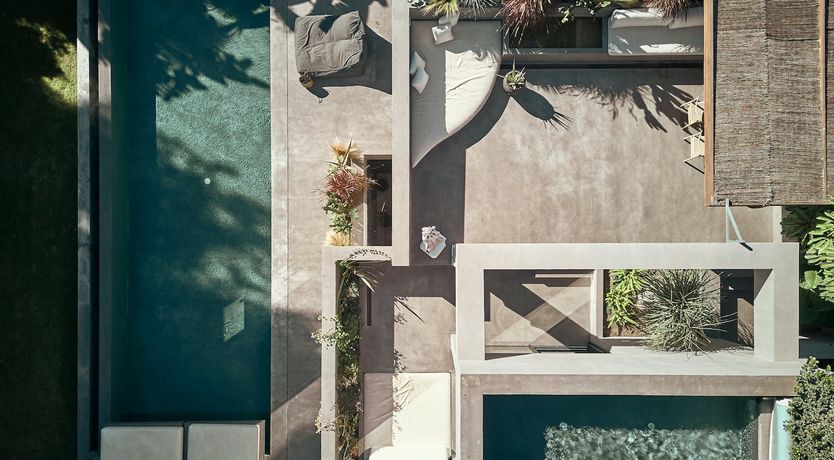 Photo of The Peace Bird