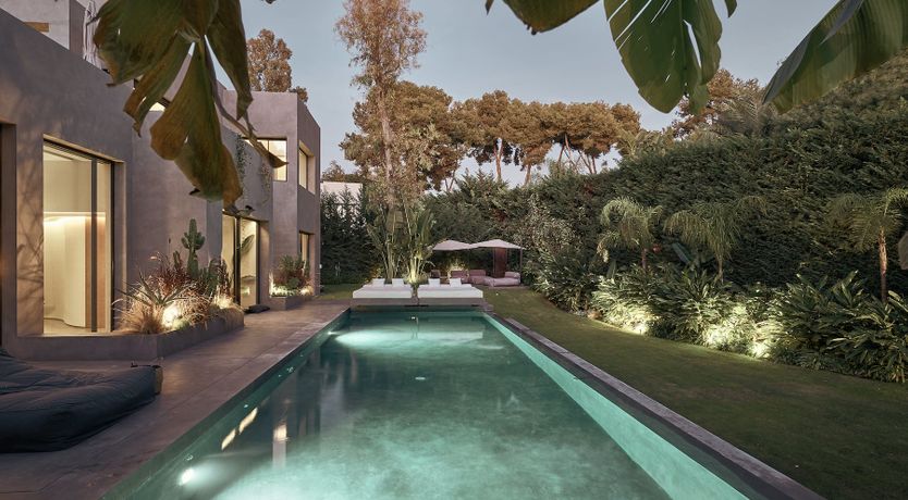 Photo of The Peace Bird