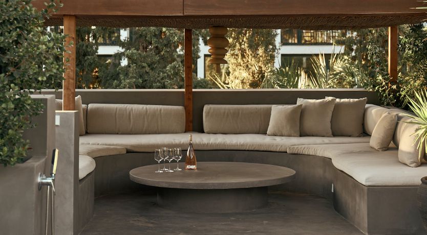 Photo of The Peace Bird