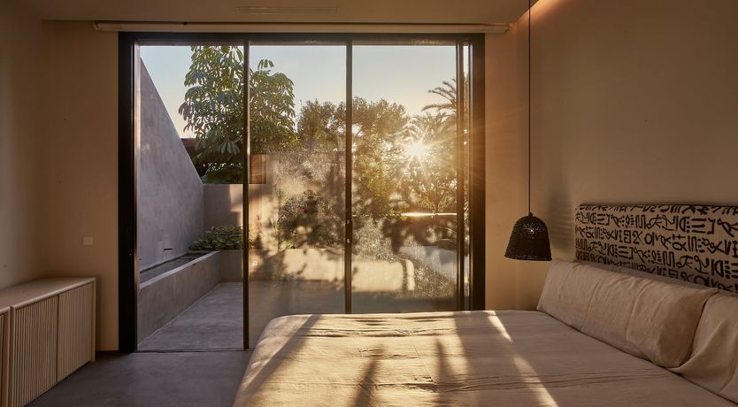 Photo of The Peace Bird