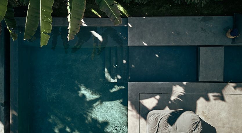 Photo of The Peace Bird