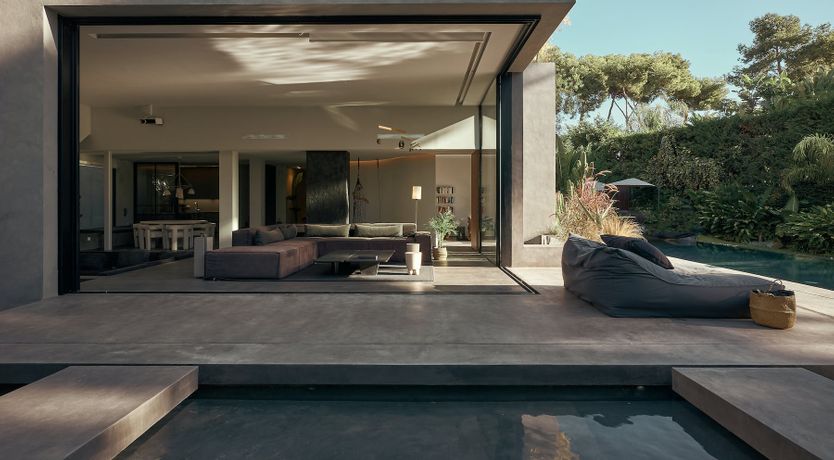 Photo of The Peace Bird