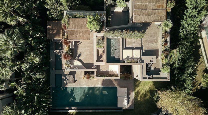 Photo of The Peace Bird