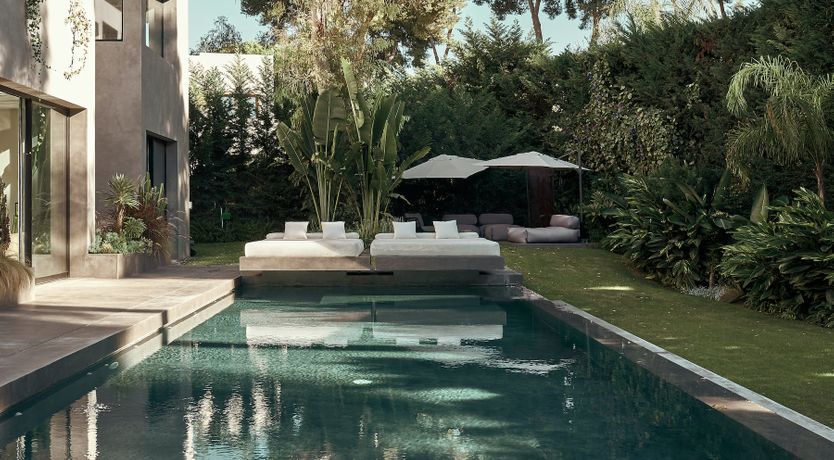 Photo of The Peace Bird