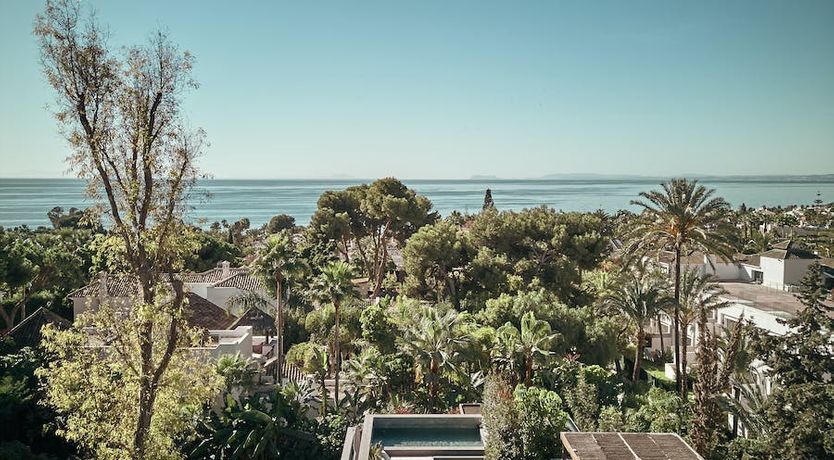 Photo of The Peace Bird