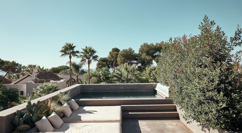 Photo of The Peace Bird