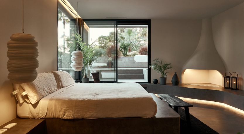 Photo of The Peace Bird