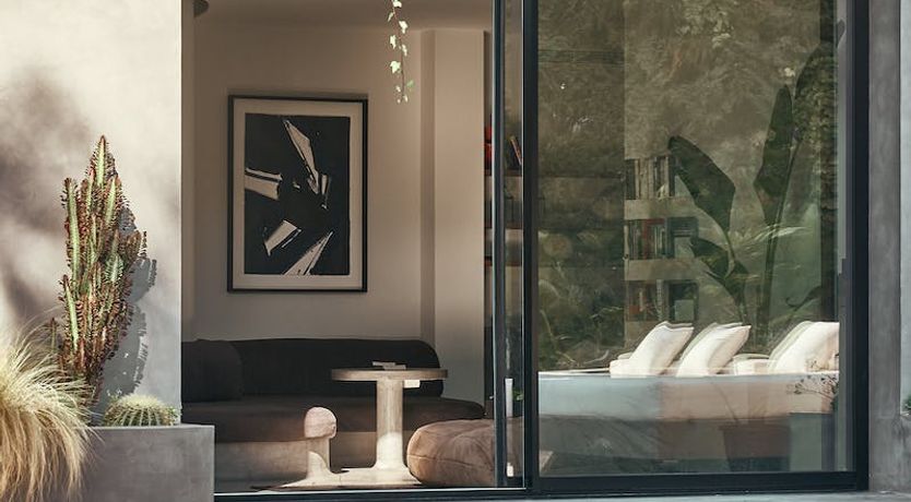 Photo of The Peace Bird