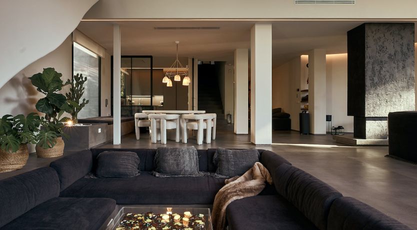 Photo of The Peace Bird