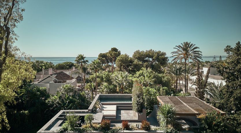 Photo of The Peace Bird