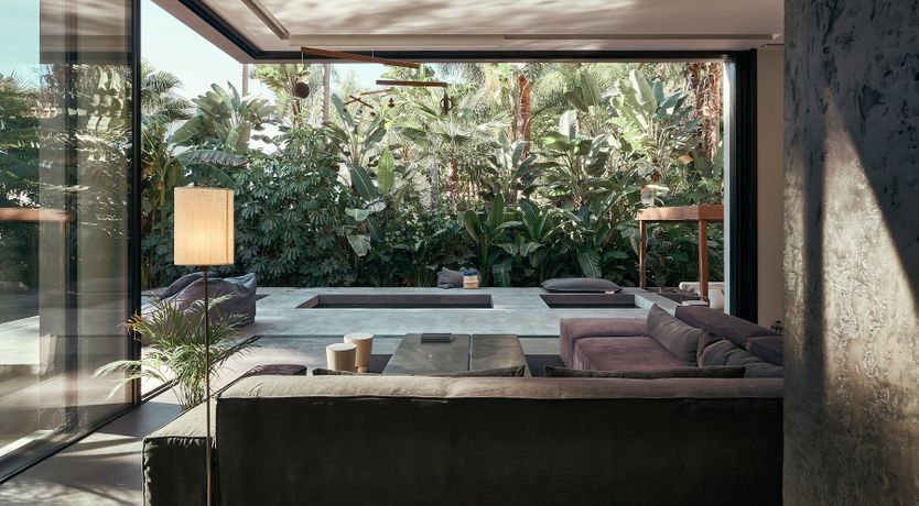 Photo of The Peace Bird