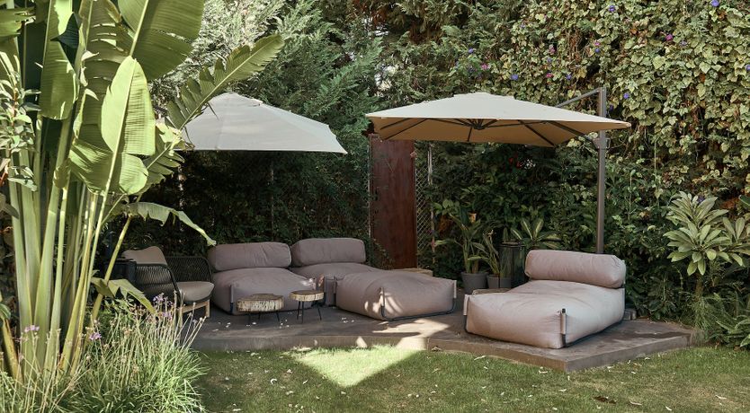 Photo of The Peace Bird