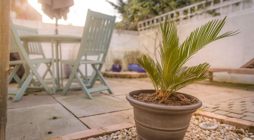 Photo of Seaside Serendipity