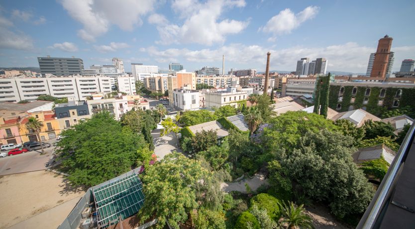 Photo of Indigo Star