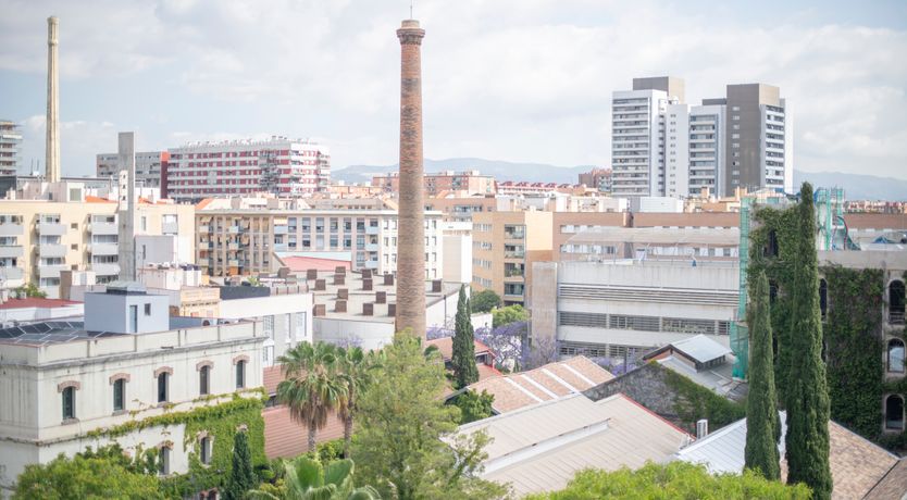 Photo of Indigo Star