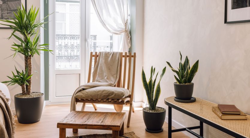 Photo of Avenida Idol