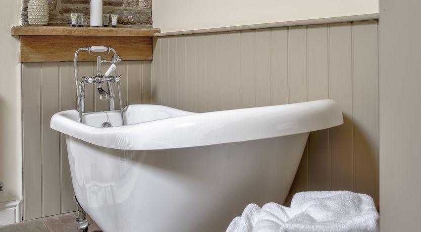 Photo of Cider House Rules