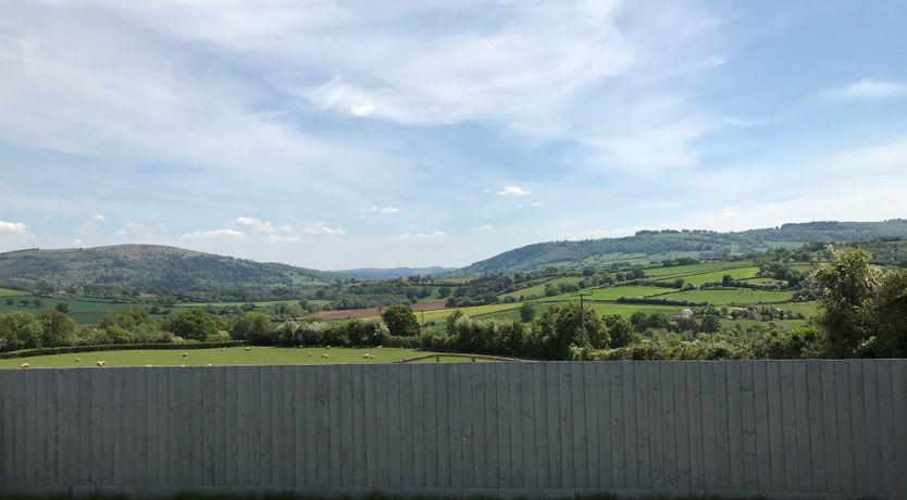 Photo of Cider House Rules