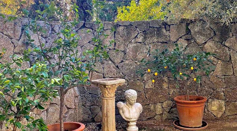 Photo of The Art of Wine