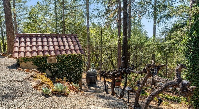 Photo of The Art of Wine