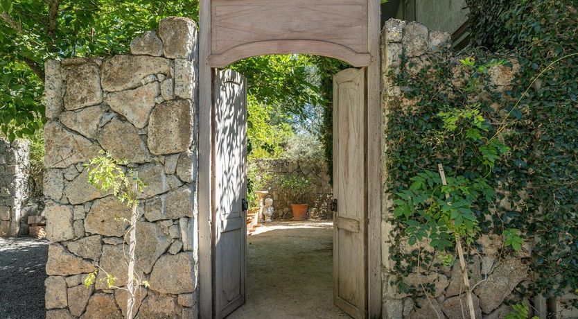 Photo of The Art of Wine