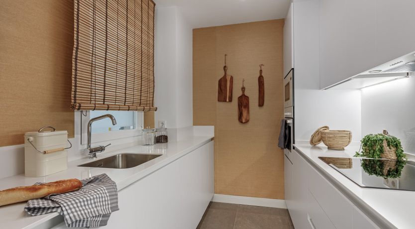 Photo of Ava's Dream