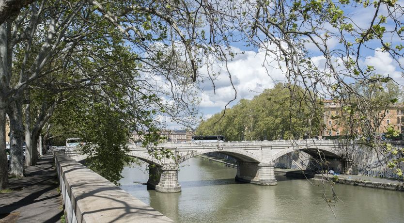 Photo of Noon Herald