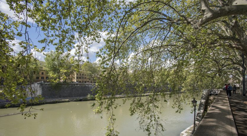 Photo of Noon Herald