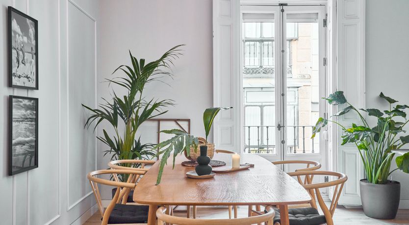 Photo of The Impressionist