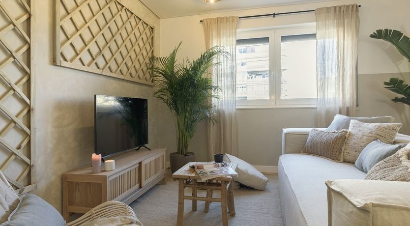 Photo of Moon Orchid