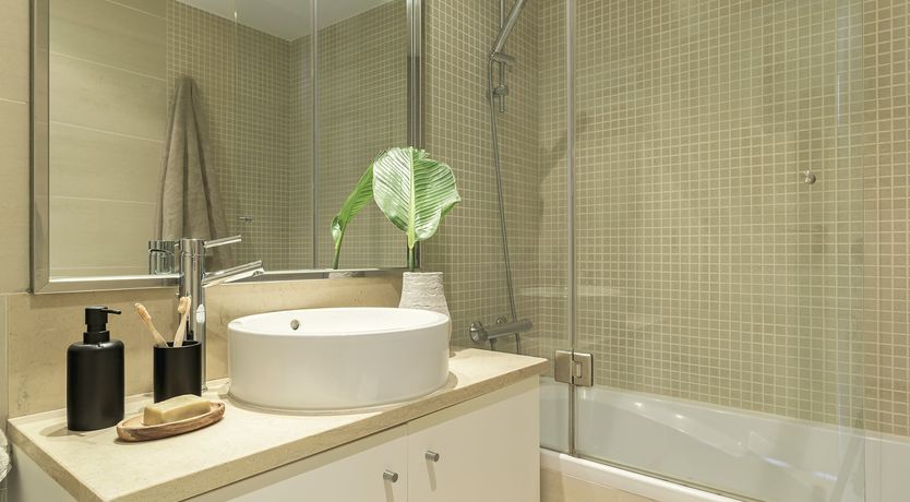 Photo of Moon Orchid