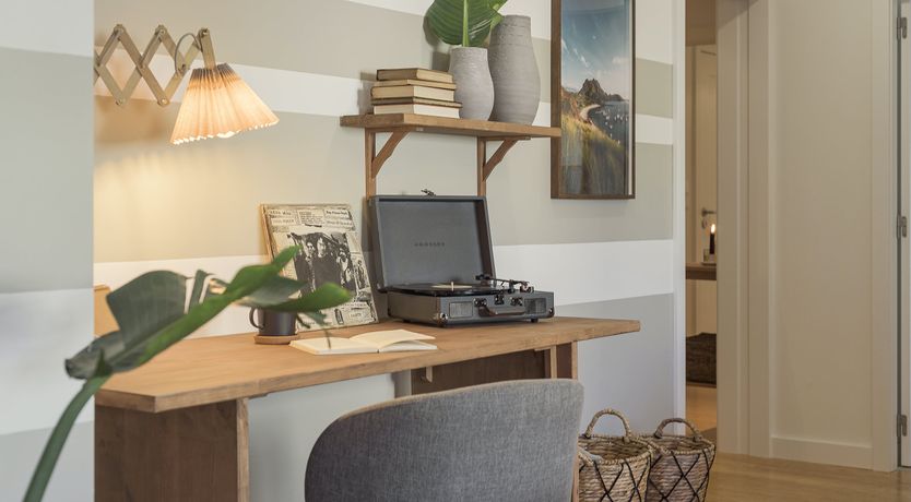 Photo of Moon Orchid