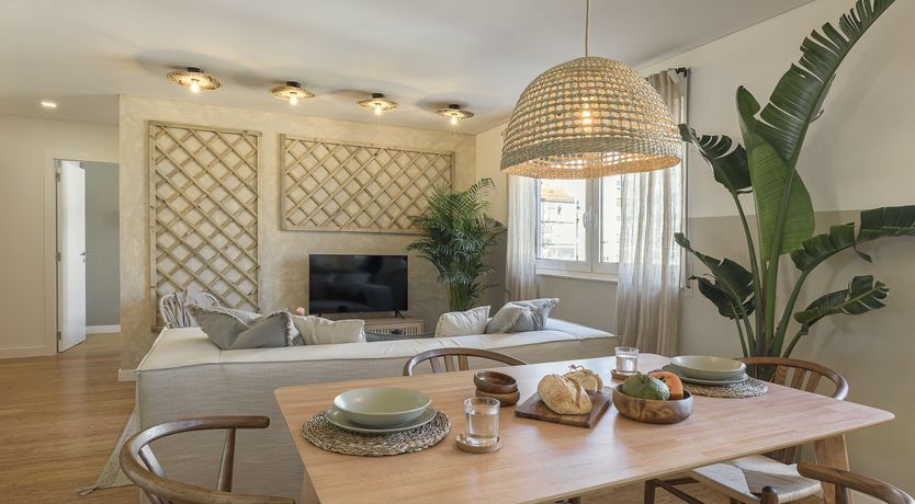 Photo of Moon Orchid